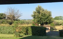 Photo submitted by guest of Poderino