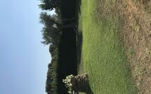 Photo submitted by guest of Poderino