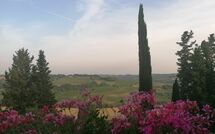 Photo submitted by guest of Montegufoni