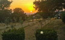 Photo submitted by guest of Fattoria le Chianacce