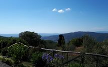 Photo submitted by guest of Casetta i Ciliegi