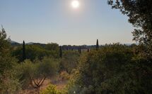 Photo submitted by guest of Campo Valerio