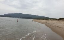 Photo submitted by guest of Teura