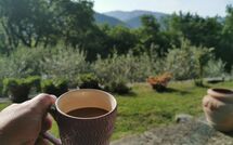 Photo submitted by guest of Vignoli