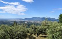 Photo submitted by guest of La Casa del Sole