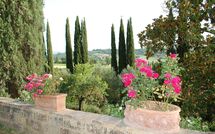 Photo submitted by guest of Tenuta Il Tresto