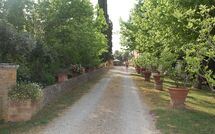 Photo submitted by guest of Tenuta Il Tresto