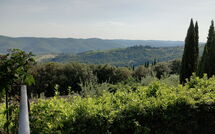 Photo submitted by guest of Pozza di Volpaia