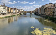 Photo submitted by guest of Ginestra Fiorentina 110