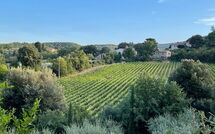 Photo submitted by guest of Casa Cervognano