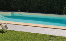 Photo submitted by guest of Casina Paradiso