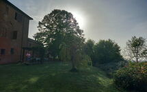 Photo submitted by guest of Chiusi 607