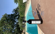 Photo submitted by guest of Casa Cervognano