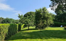 Photo submitted by guest of Il Fontanino