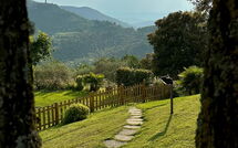 Photo submitted by guest of Villa Crispinino