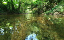 Photo submitted by guest of La Ripresa