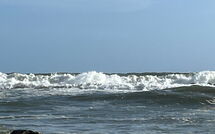 Photo submitted by guest of Al Magliano