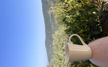 Photo submitted by guest of Orangerie degli Ulivi