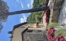 Photo submitted by guest of Il Gheppio