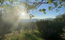 Photo submitted by guest of Il Circolo