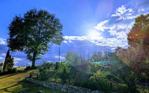 Photo submitted by guest of Casa Caldesi