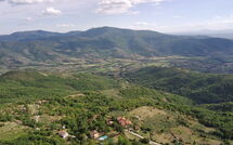 Photo submitted by guest of Casa Caldesi