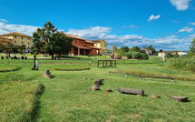 Photo submitted by guest of Incanto Toscano