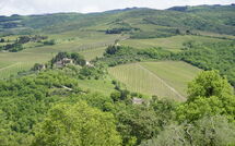 Photo submitted by guest of Camporempoli