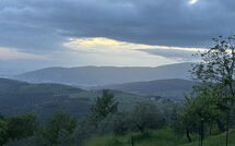 Photo submitted by guest of Villa Ancora