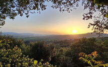 Photo submitted by guest of Poggiolo