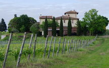 Photo submitted by guest of Tavarnelle Val di Pesa 617