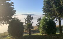 Photo submitted by guest of Lajatico 602