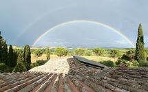 Photo submitted by guest of Poggio Falcone