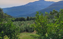 Photo submitted by guest of Casale Fonte