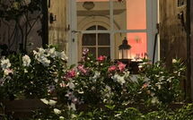 Photo submitted by guest of La Casa dei Limoni, Camaiore, Pet Friendly, Wifi