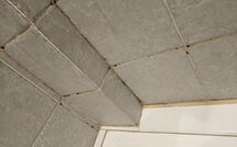 Photo submitted by guest of Marina di Bibbona 150