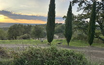 Photo submitted by guest of Podere Orietta