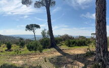 Photo submitted by guest of Dependance di Villa Magna