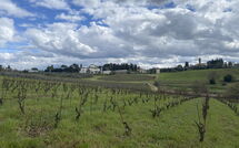 Photo submitted by guest of Dependance di Villa Magna