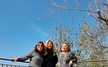 Photo submitted by guest of I Tre Castagni