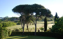 Photo submitted by guest of Villa Clara 20