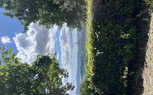 Photo submitted by guest of Casolare Ser Chelino