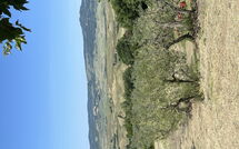 Photo submitted by guest of Casolare Ser Chelino