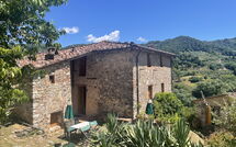 Photo submitted by guest of Bottino