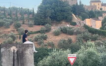 Photo submitted by guest of Pier