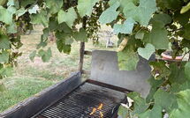 Photo submitted by guest of Podere Valcellino