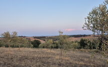 Photo submitted by guest of Fattoria le Chianacce