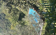 Photo submitted by guest of Il Castagneto