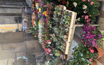 Photo submitted by guest of Duomo Suite