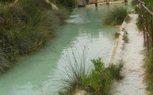 Photo submitted by guest of Podere la Marronaia